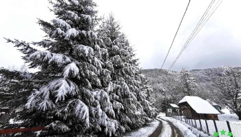 Comuna Brăduleț - Romania