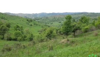 Comuna Buda - Romania