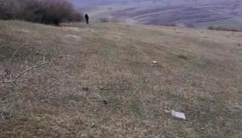 Comuna Buza - Romania