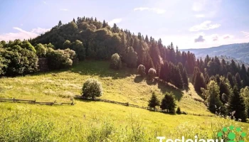 Comuna Băișoara - Romania
