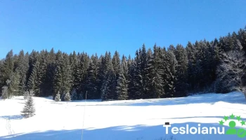 Comuna Coșna - Comuna Coșna