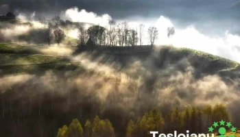 Comuna Meteș - Romania