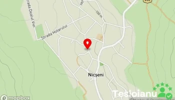 Comuna Nicșeni - Comuna Nicșeni