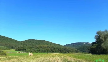 Comuna Năpradea - Romania