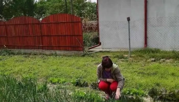Comuna Ogrezeni - Romania