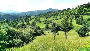 Comuna Romuli - Romania