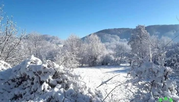 Comuna Schitu Golești - Romania