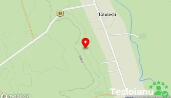Comuna Tătulești - Romania
