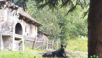 Comuna Valea Doftanei - Romania