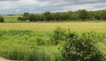 Comună Adunaţii-copăceni - Romania