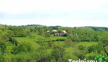 Copalnic-Mănăștur - Copalnic-Mănăștur