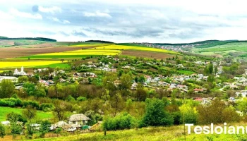 Corbasca - Corbasca