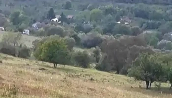 Corbești - Corbești
