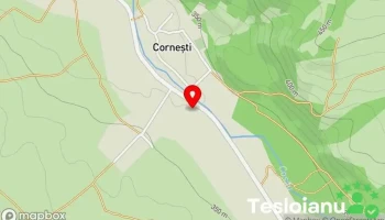 Cornești - Cornești