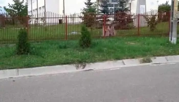 Corni-Albești - Corni-Albești