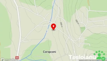 Coropceni - Coropceni