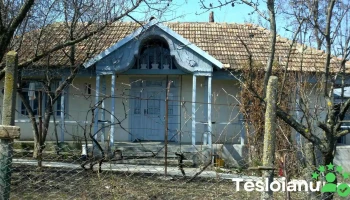 Costești - Costești