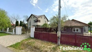 Costiniuc Ioan - Fierbinți-Târg