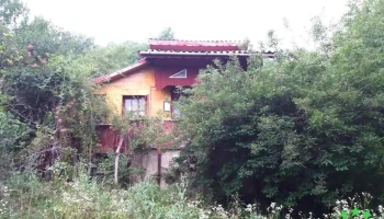 Cozieni - Cozieni