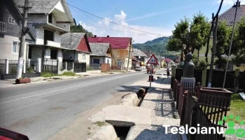 Coșbuc - Coșbuc