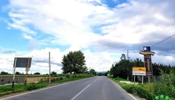 Coțofănești - Coțofănești