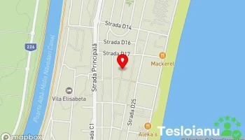 Creo Mixt Srl - Mamaia-Sat