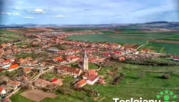 Cricău - Cricău