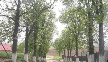 Cristești - Cristești
