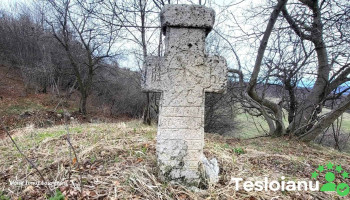 Crucea - Cozieni