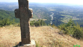 Crucea lui Ursache - Polovragi