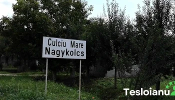 Culciu Mare - Culciu Mare