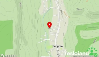Cungea - Cungea