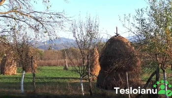 Curtea - Curtea
