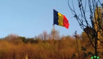 Curtișoara - Curtișoara