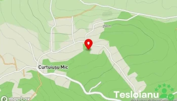 Curtuiușu Mic - Curtuiușu Mic