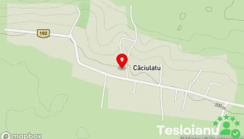Căciulatu - Căciulatu