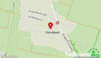 Căciulătești - Căciulătești
