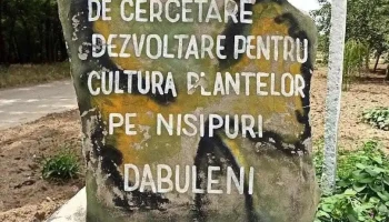 Călărași - Călărași