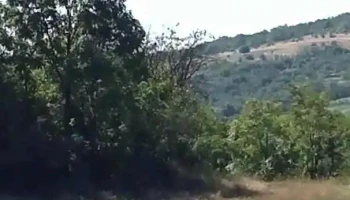 Călărași - Călărași