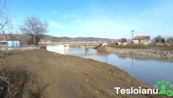 Căpâlna de Sus - Căpâlna De Sus