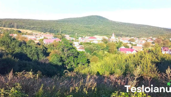 Cărbunari - Cărbunari