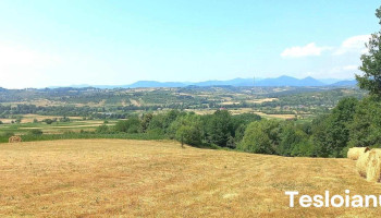 Cărbunari - Cărbunari