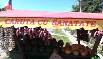 Căruța cu sănătate - România