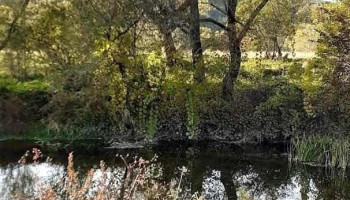 Cătunele - Cătunele