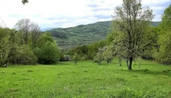 Cătunu - Cătunu
