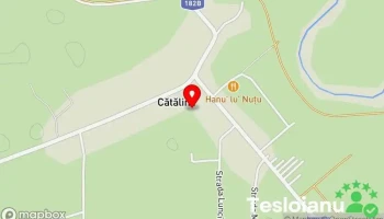 Cătălina - Cătălina