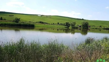 Darvastau - Romania