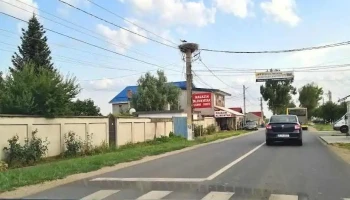 Dascălu - Dascălu
