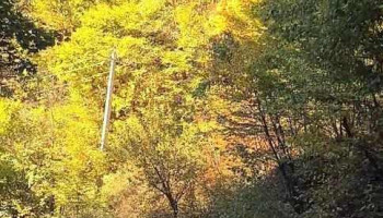 Defileul Răcătăului - Măguri-Răcătău
