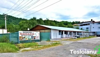 Delu's Garage - Sălătrucel